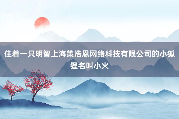 住着一只明智上海策浩恩网络科技有限公司的小狐狸名叫小火